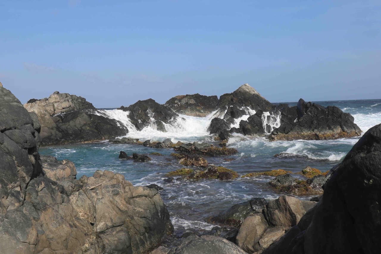 De Palm Island UTV tour and Aruba natural pool adventure