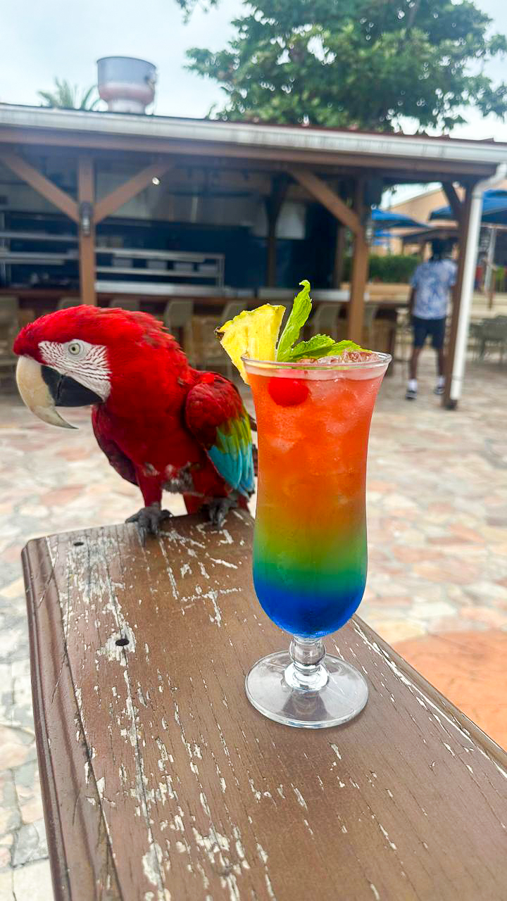 Gizmo's signature tropical cocktail at Divi Little Bay