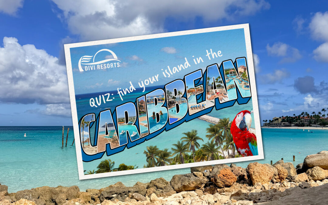 Quiz: Which Divi Island Matches Your Vacation Style?